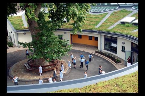 Studio E’s Sacred Heart primary school in Hammersmith, west London, was built in 2007 around two 120-year-old plane trees